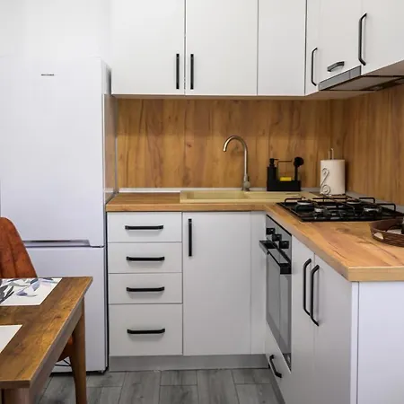 Nina House Apartment Târgu Jiu Exterior photo